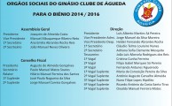 Orgãos Sociais 2014/2016